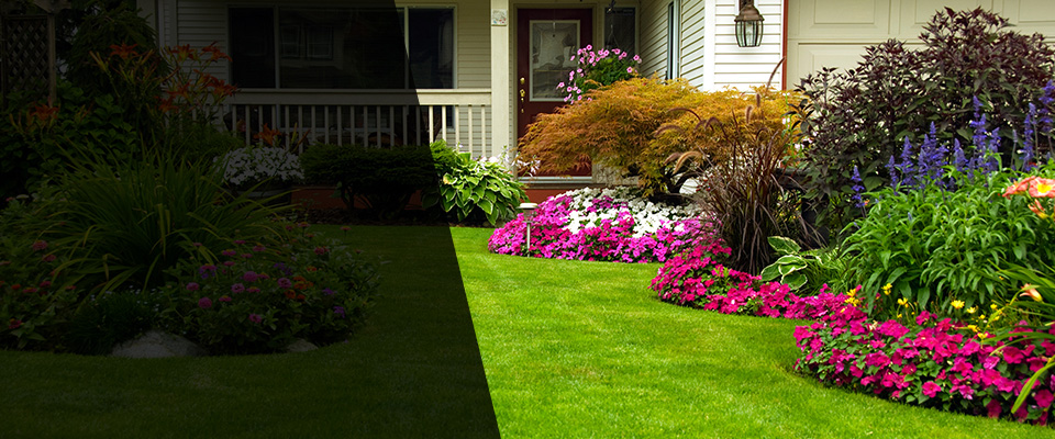 Lemon Grove Landscapers